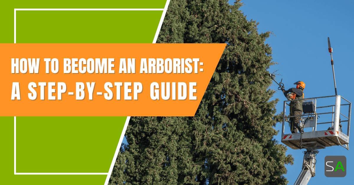 How to Become an Arborist: A Step-By-Step Guide - Service Autopilot